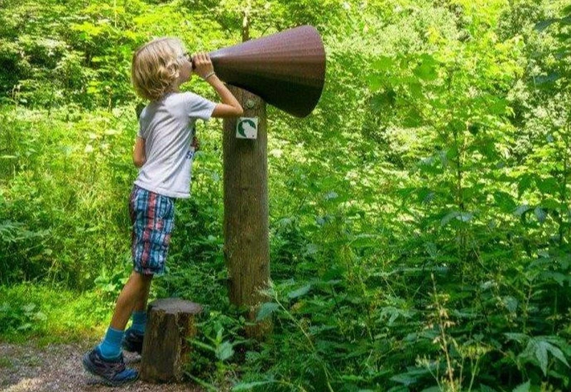 Auf den Spuren der Wildkatze