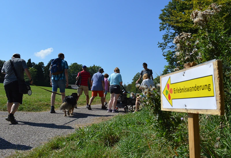 Erlebniswanderung auf der Höhe