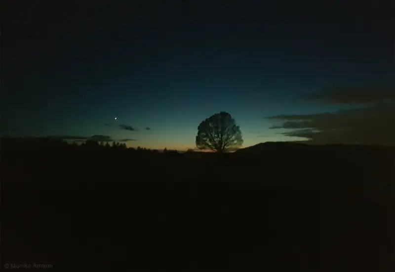 Wanderung in die Rauhnacht | Reflexion und Kraft für Neues schöpfen