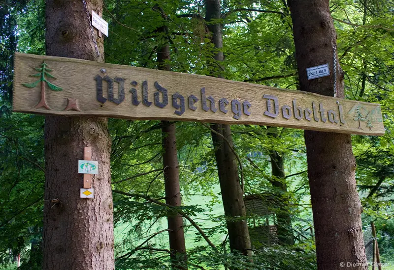 Wildtiertour | Geführte Tour im Rahmen des Wanderopenings 2026