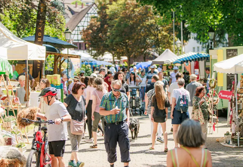 Naturpark-Markt